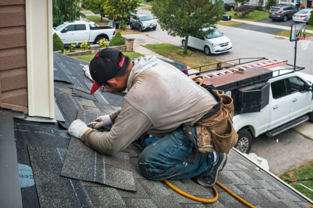 Professional Roof Inspection technician working in Essex, IL